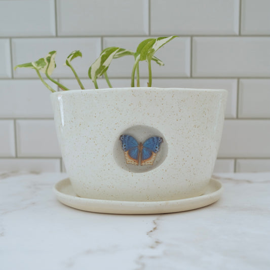Butterfly Planter #2