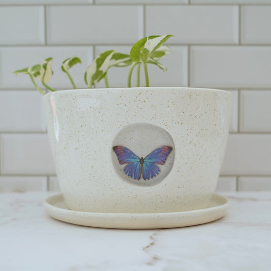 Butterfly Planter #3