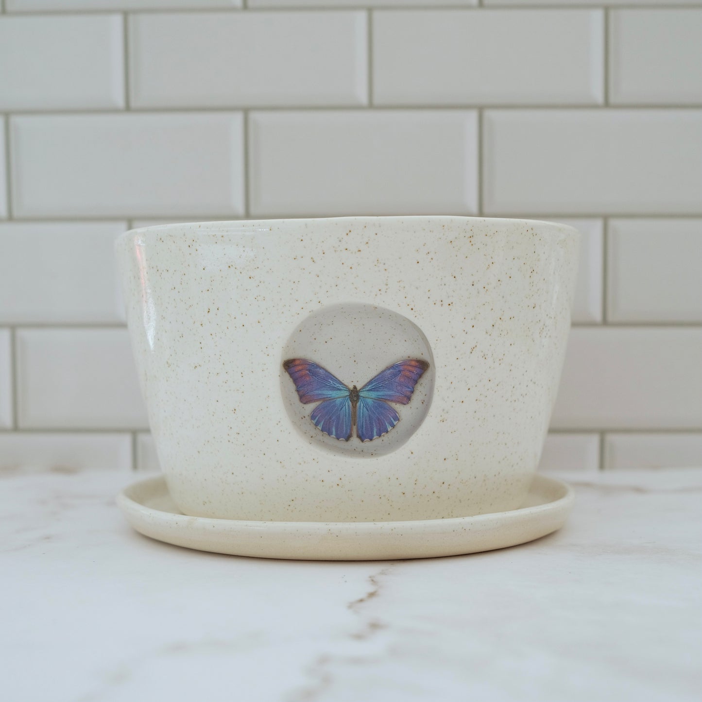 Butterfly Planter #3