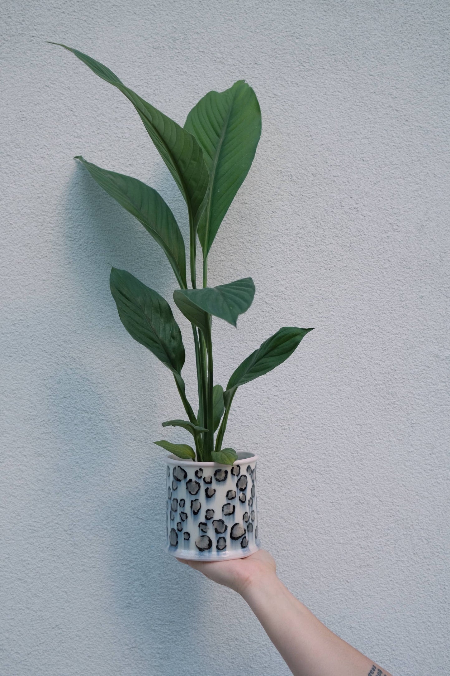 Snow Leopard Print Planter